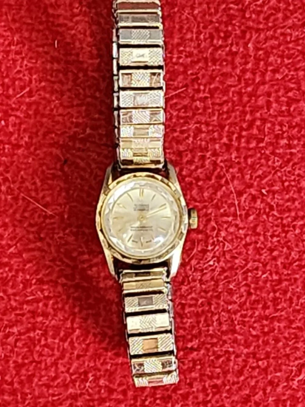 Sorna 17 Jewel Gold and Silver Plate Antimagnetic Waterproof Flex SS Back Watch